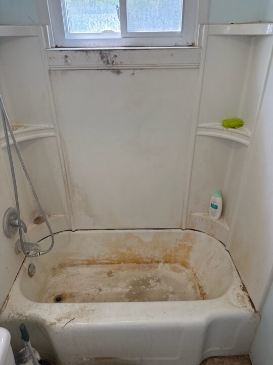 Neglected Tub - Before