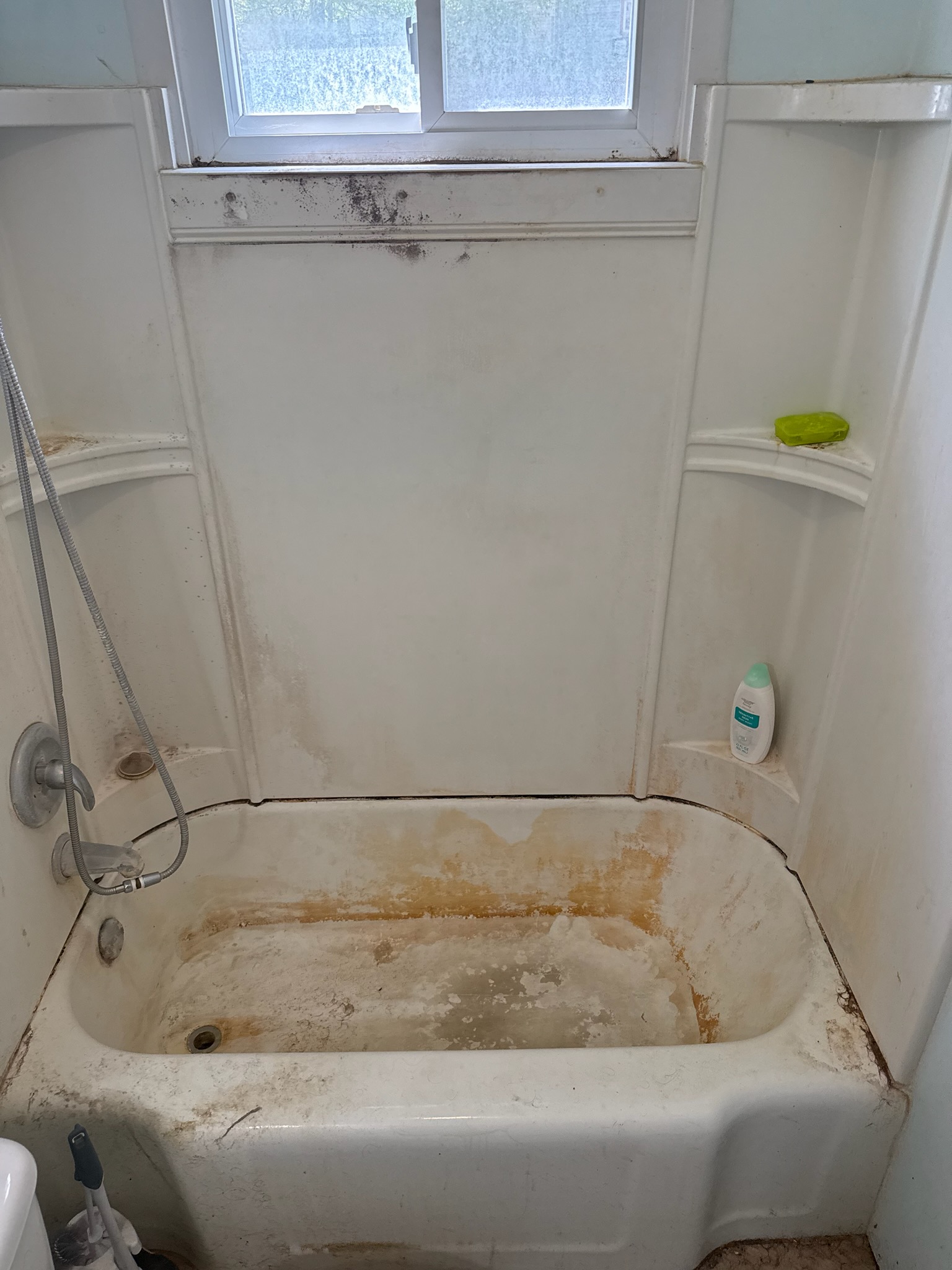 Neglected Tub - Before