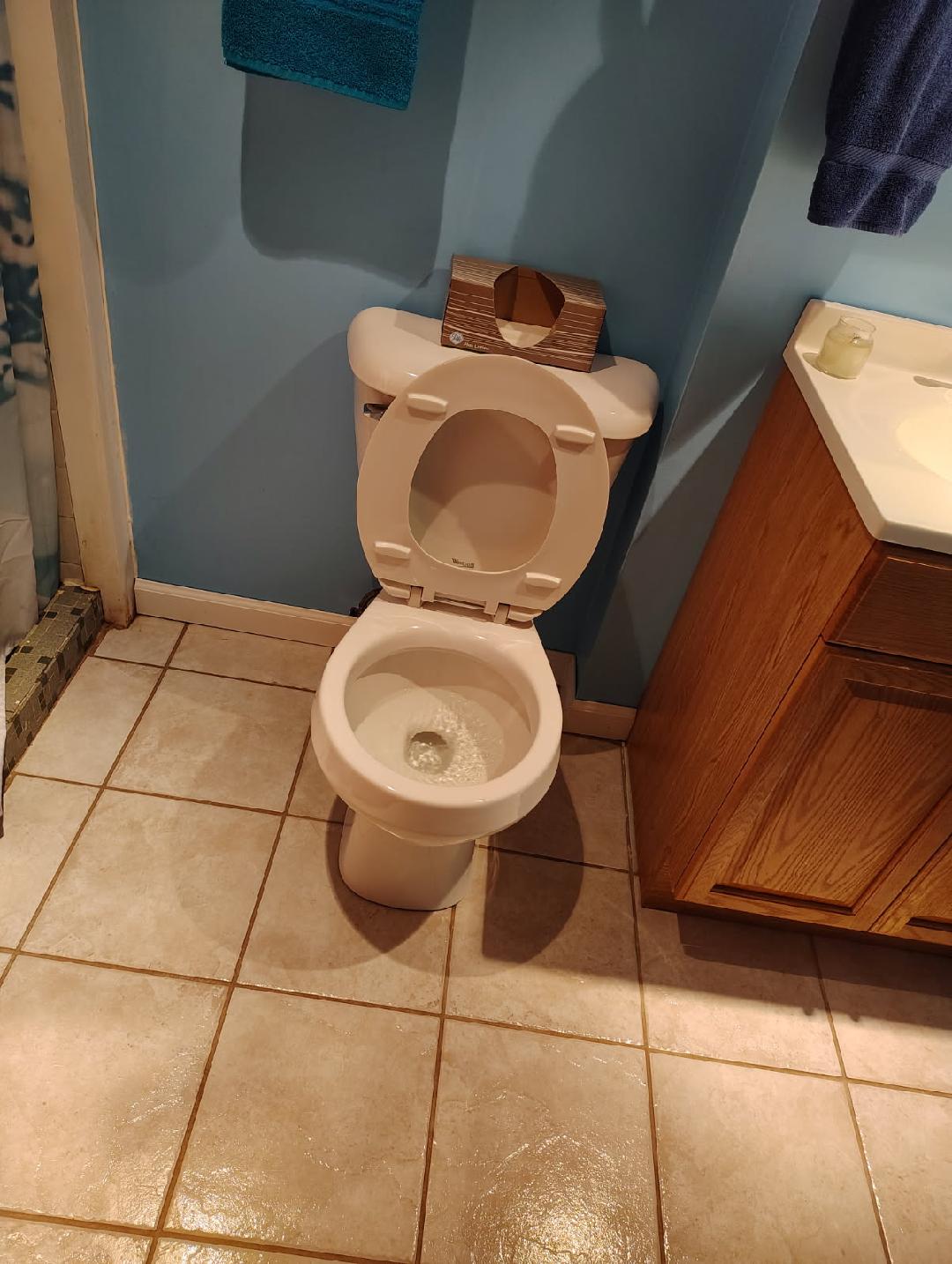 Toilet in Bathroom - After