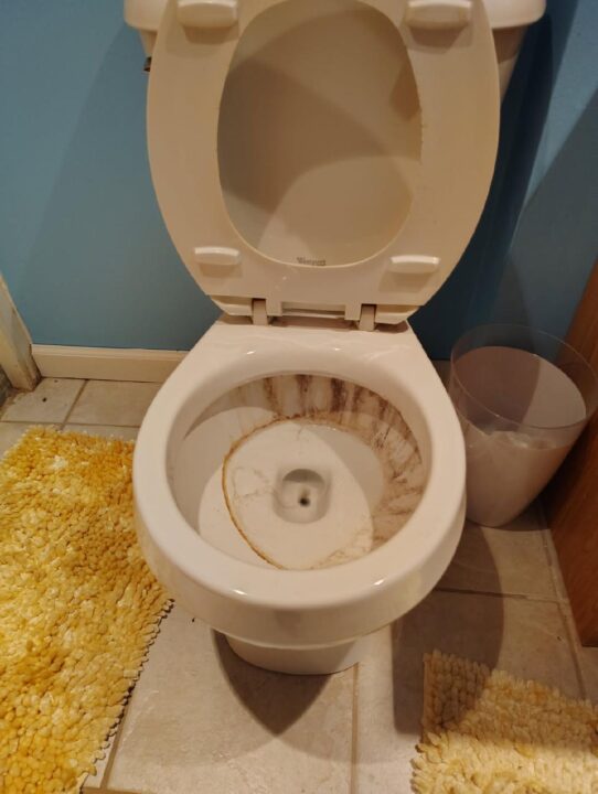 Toilet in Bathroom - Before