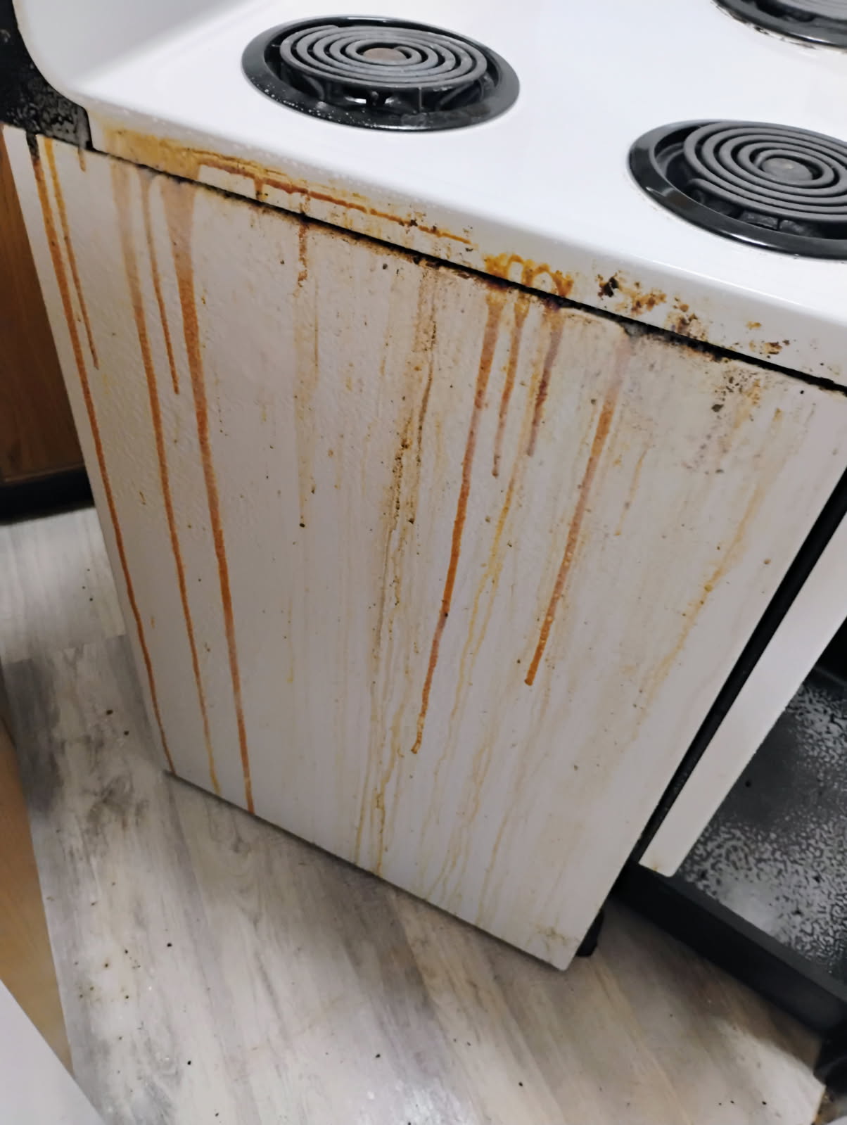 Ancient Grime on Stove, removed. - Before