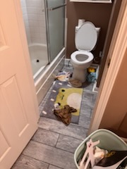 Bathroom - Before