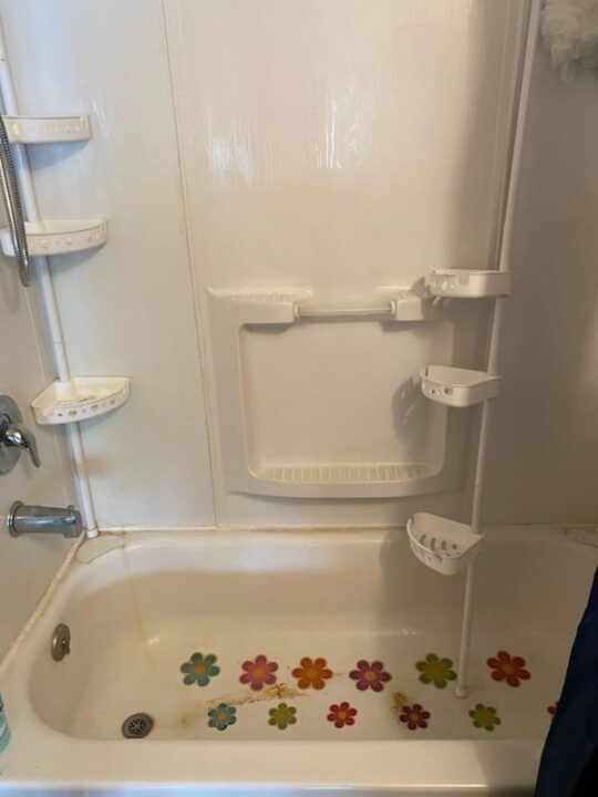 Bathroom Shower - Before