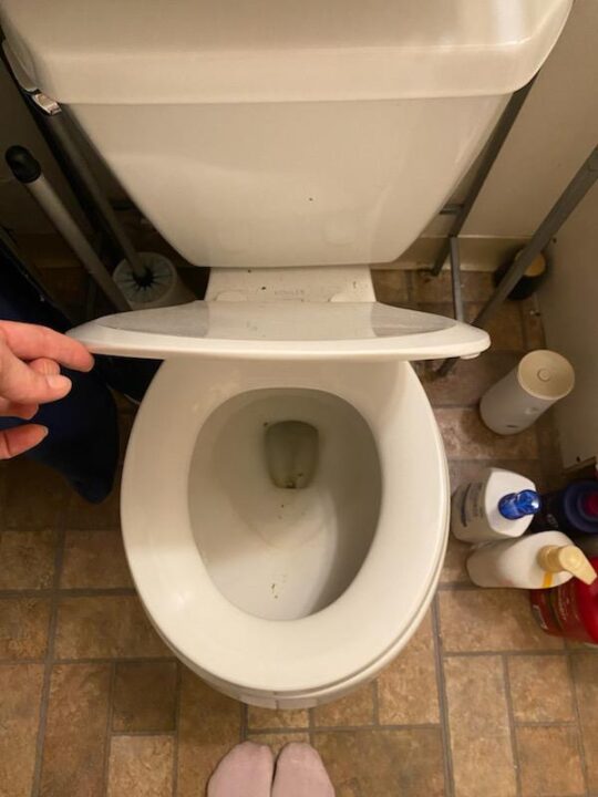 Toilet - Before
