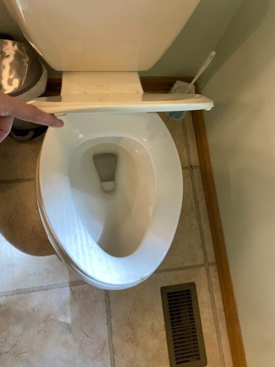 Bathroom #1 Toilet - Before
