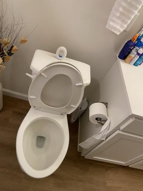 Bathroom #2 Toilet - Before