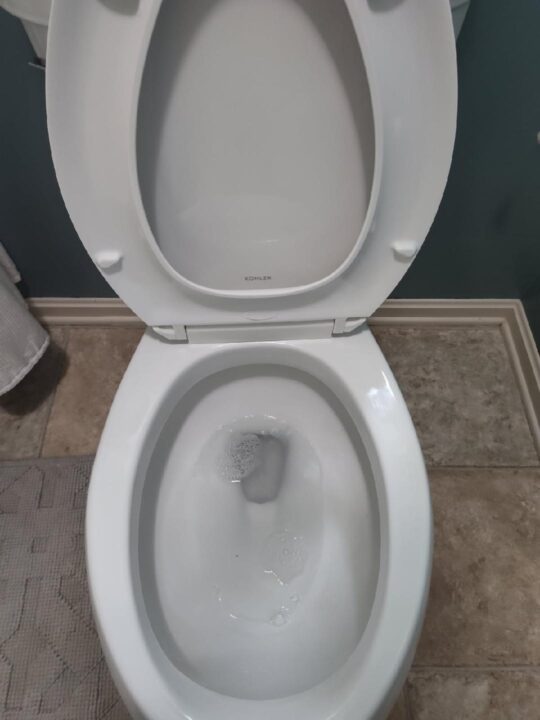 Toilet restored - After