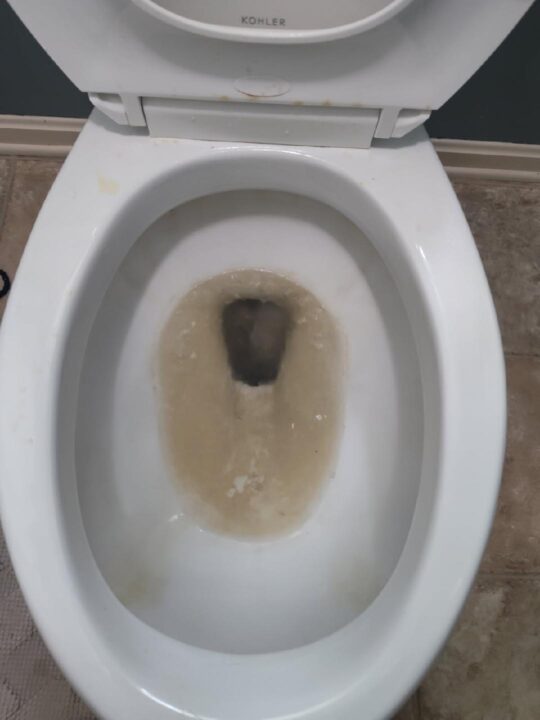 Toilet restored - Before