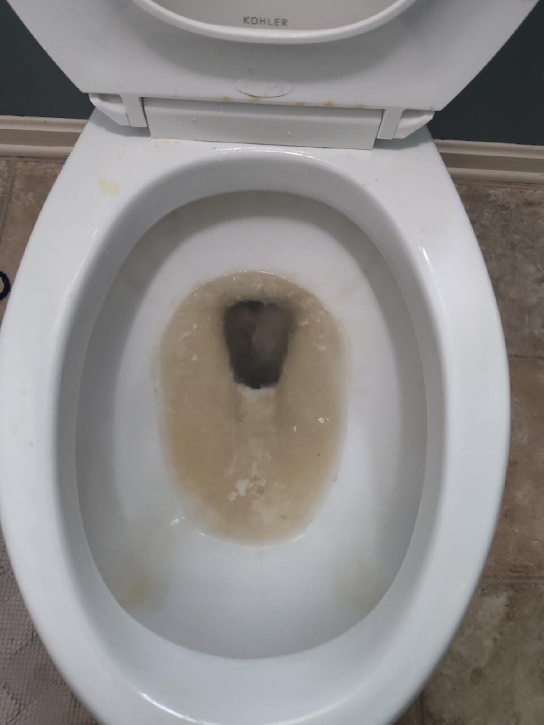 Toilet restored - Before