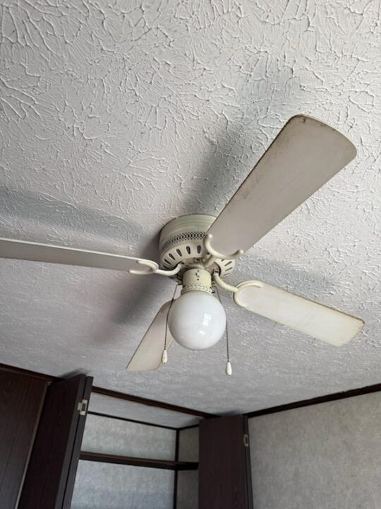 Ceiling Fan - Before