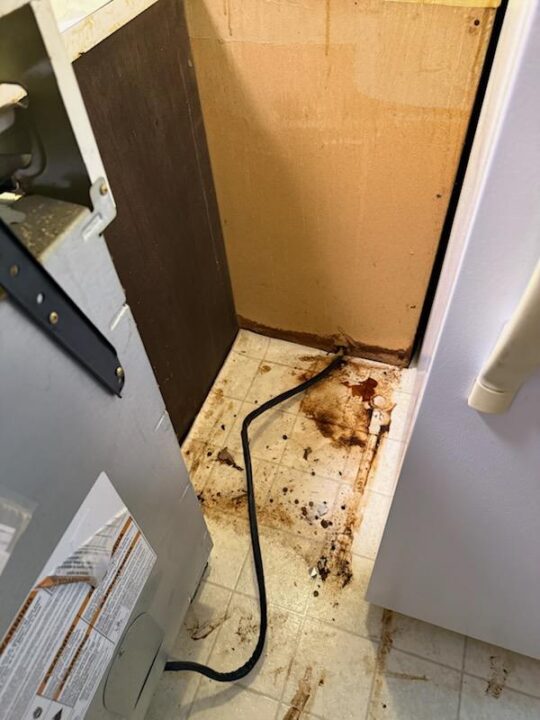 Behind Fridge - Before