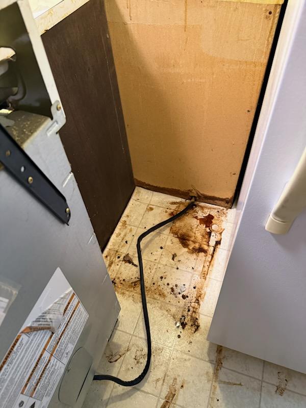 Behind Fridge - Before