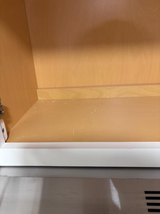 Inside Cabinets - Before