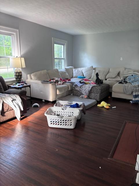 Family Room - Before