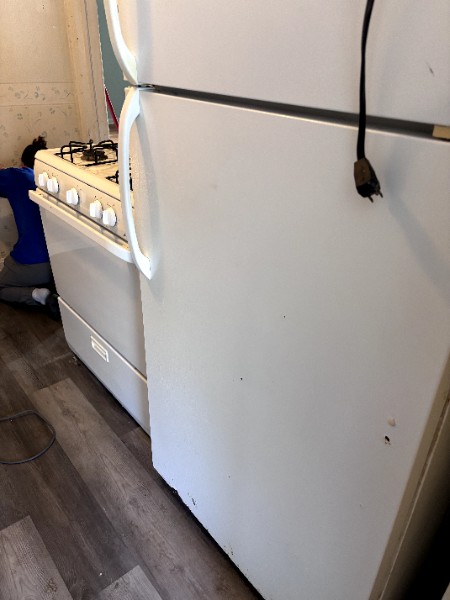 Deep Clean Refrigerator - After