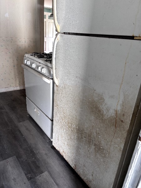 Dirty Refrigerator Door